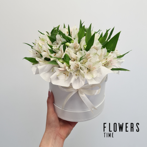 Baltų alstromerijų dėžutė gimtadienio gėlės
