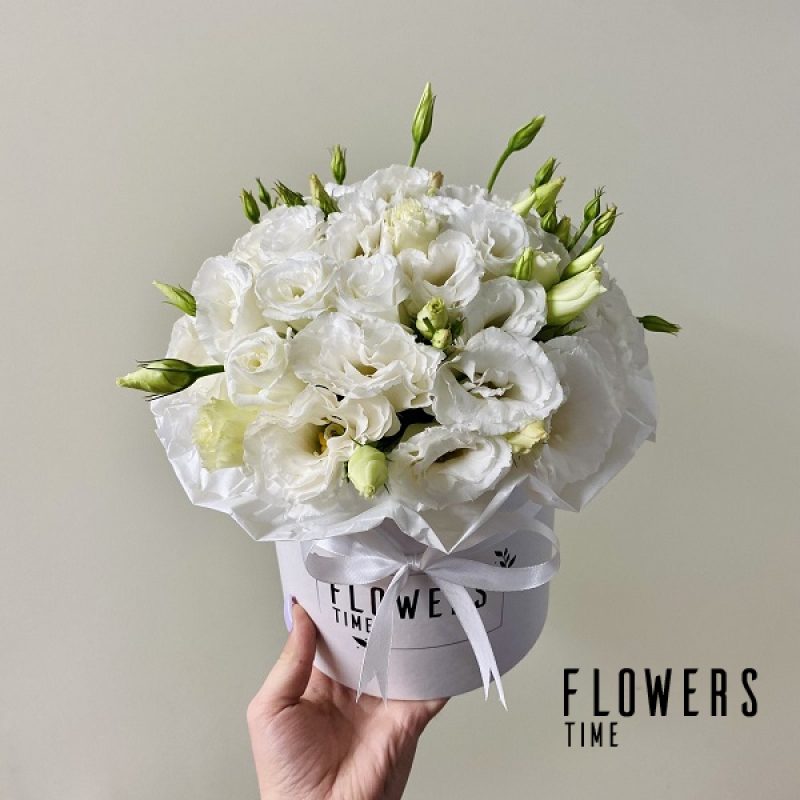 Baltų eustomų dėžutė