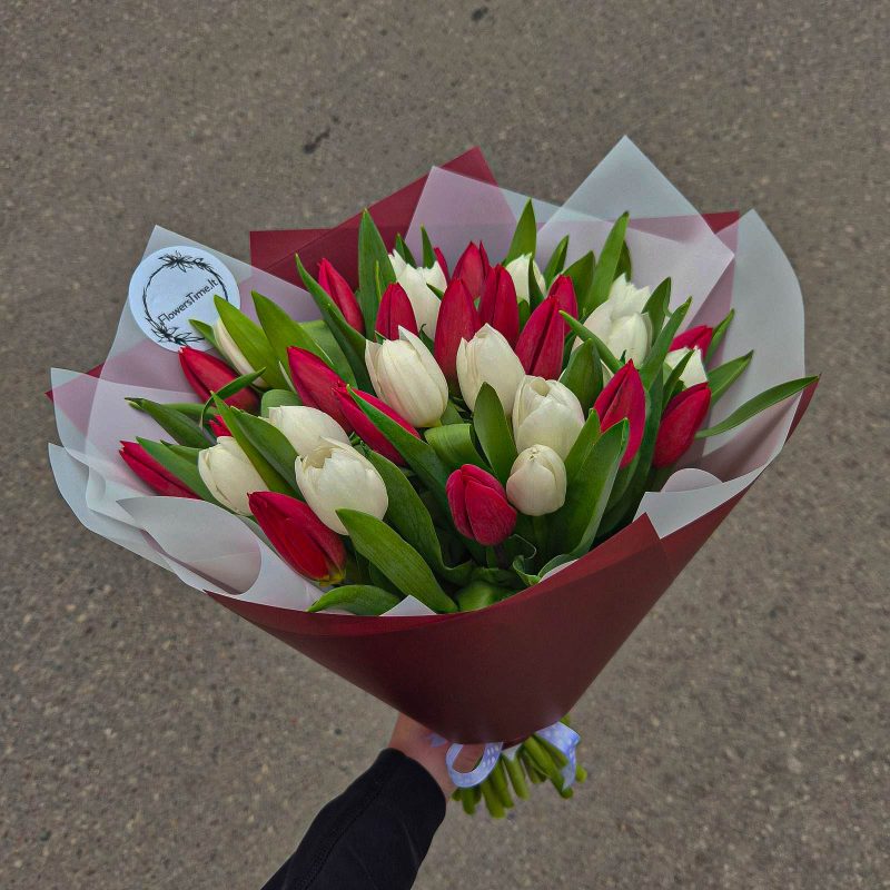 Raudonų ir baltų tulpių puokštė merginai