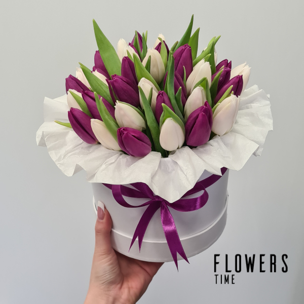 Tulpės dėžutėje violetinės ir baltos