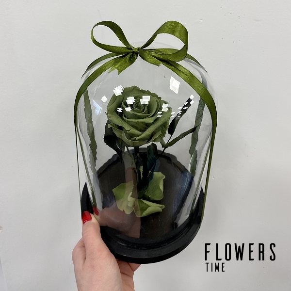 Žalia mieganti rožė po stiklu dovana draugei
