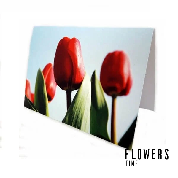 Postcard „Field of tulips“