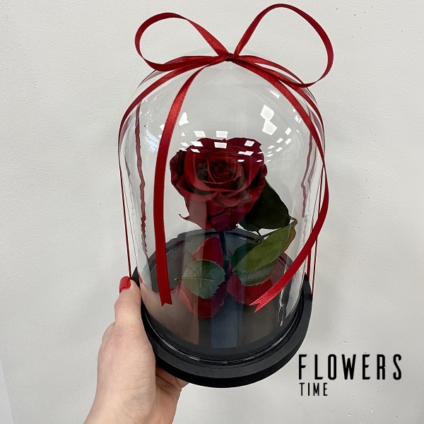 Bordinė mieganti rožė po stiklu dovana draugei