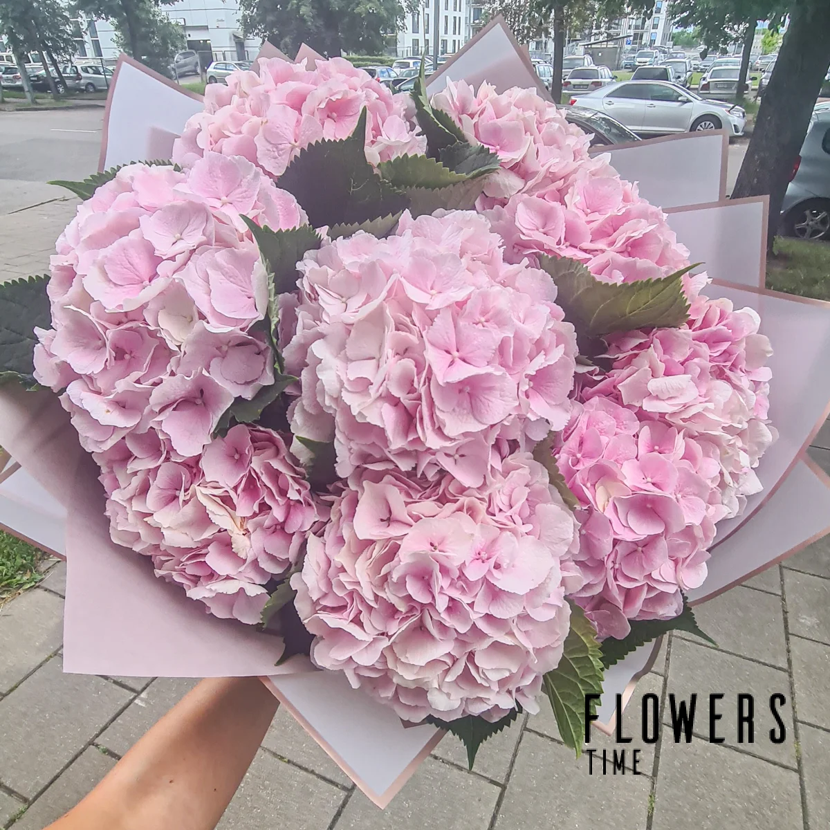 Bouquet of pink hydrangeas