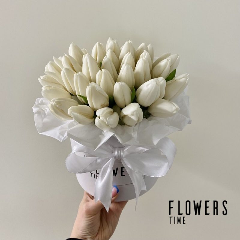 Baltų tulpių dėžutė